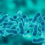 Впровадження системи HACCP та знищення клопів: чому це важливо для бізнесу