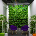 Як озеленити офіс і не витрачати час: рішення від Florica.com.ua