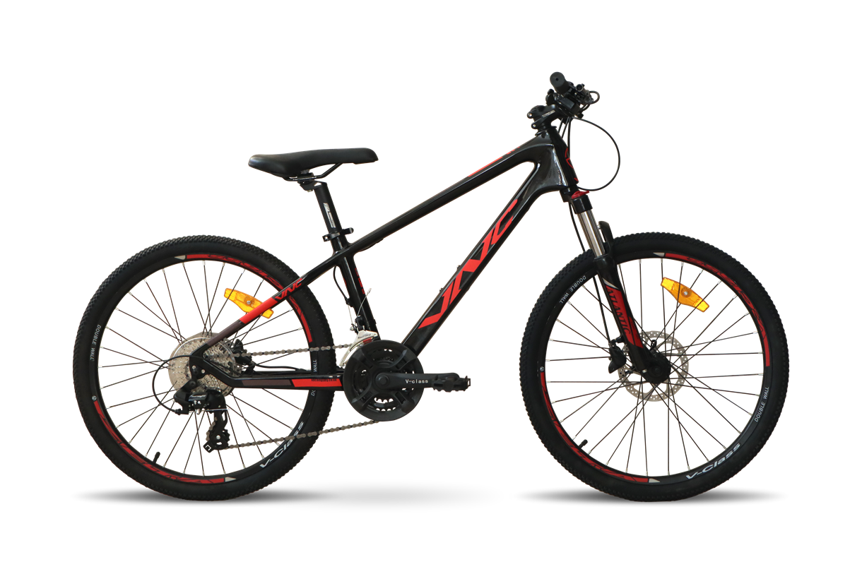 Як обрати підліткові велосипеди: посібник для матусь