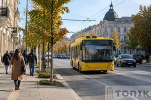 Ілюстрація до матеріалу «Повсякденний Кропивницький: як швидше вирішувати міські справи»